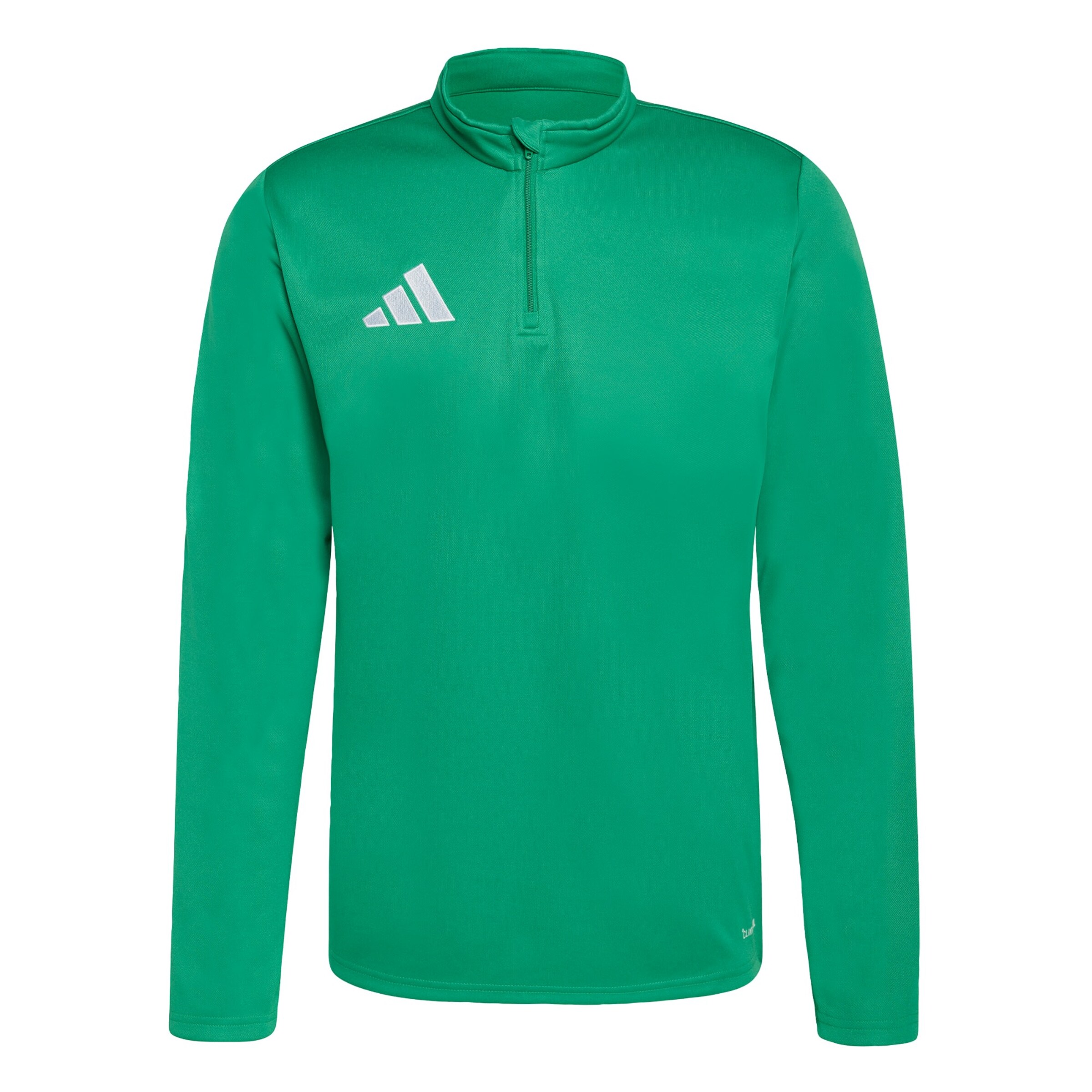 ADIDAS PERFORMANCE Funktionsshirt 'Entrada26' in Grün: Vorderseite