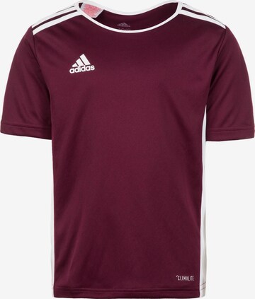 ADIDAS SPORTSWEAR Performance Shirt 'Entrada 18' in Red: front