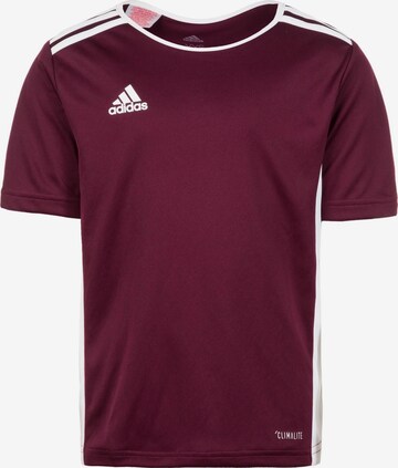 T-Shirt fonctionnel 'Entrada 18' ADIDAS SPORTSWEAR en rouge : devant