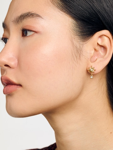 Ted Baker Earrings 'CELTIS' in Gold