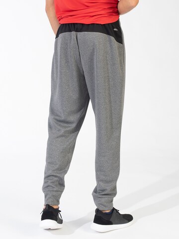 Spyder Regular Workout Pants in Grey