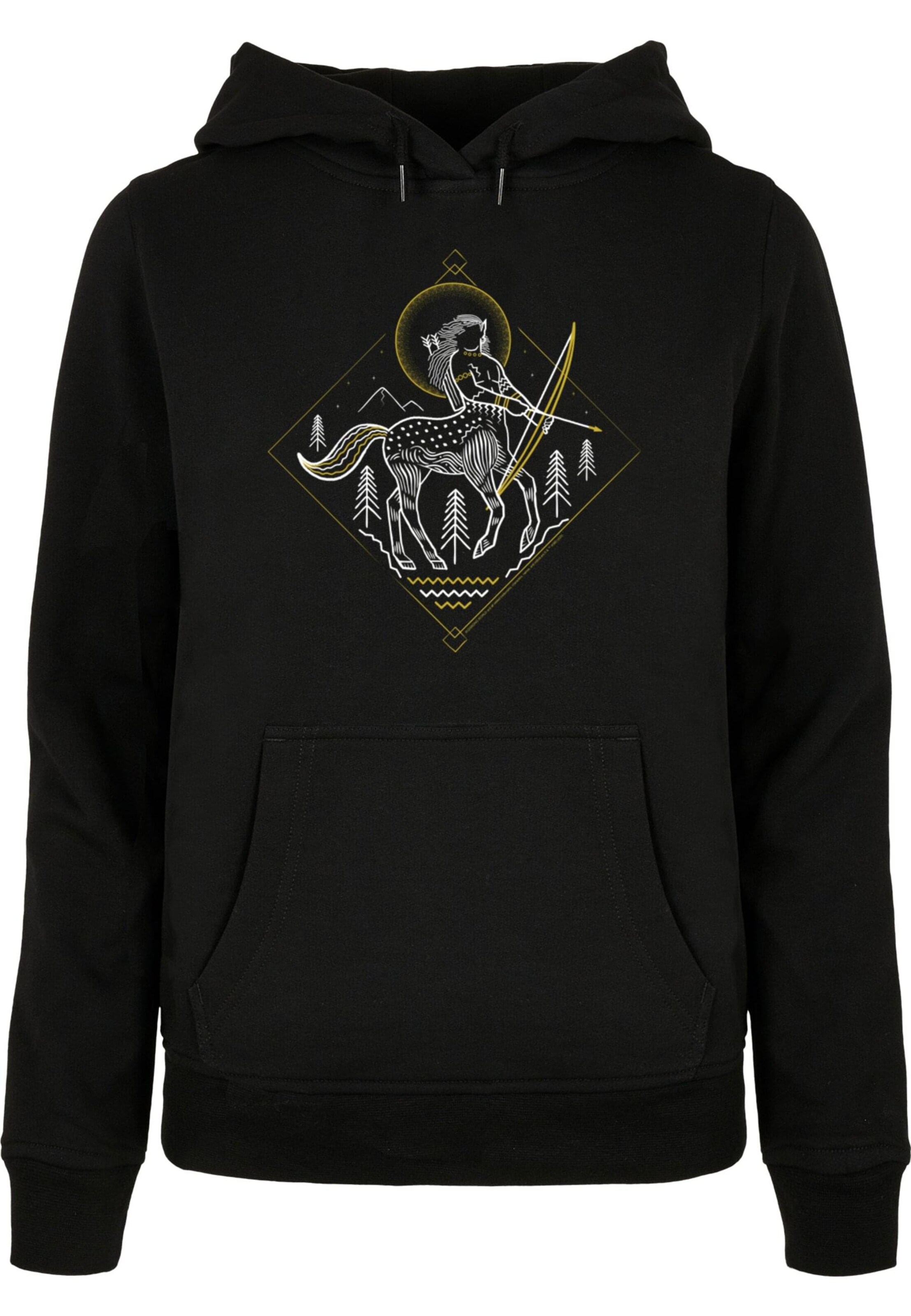 ABSOLUTE CULT Sweatshirt 'Harry Potter - Centaur' in Zwart: voorkant