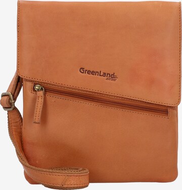 Borsa a tracolla di Greenland Nature in marrone: frontale