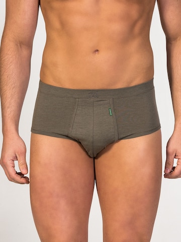 zd ZERO DEFECTS Panty 'Saturno Soya fly Front Brief' in Green: front