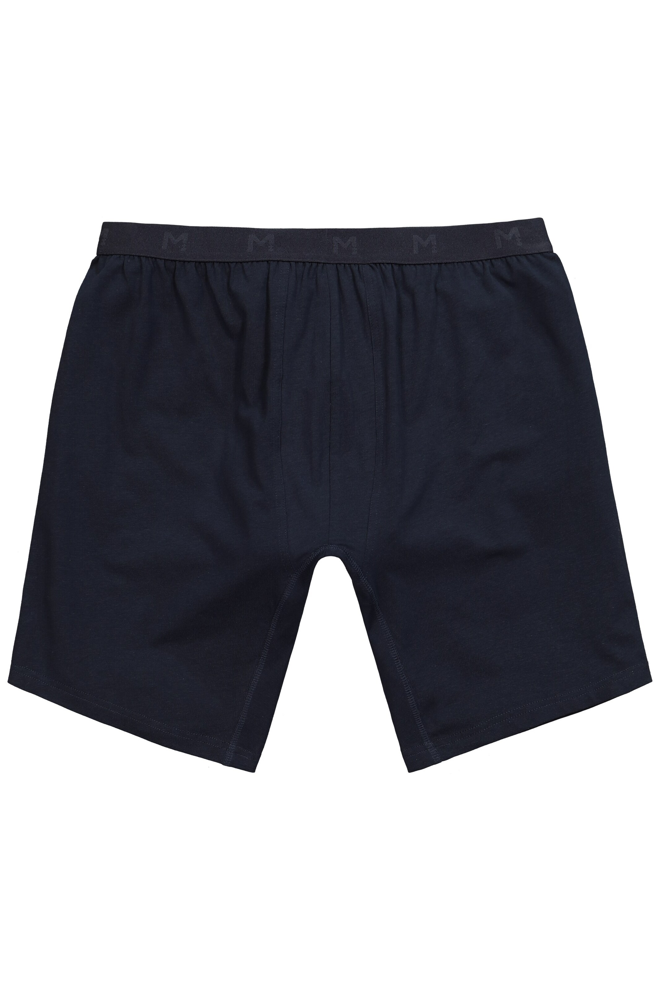 Men Plus Panty in Blue: front