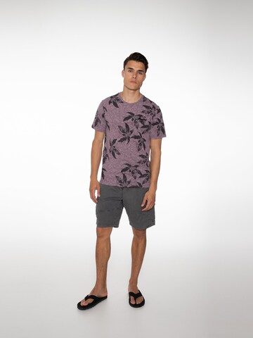 PROTEST Regular Hose 'PACKWOOD' in Grau