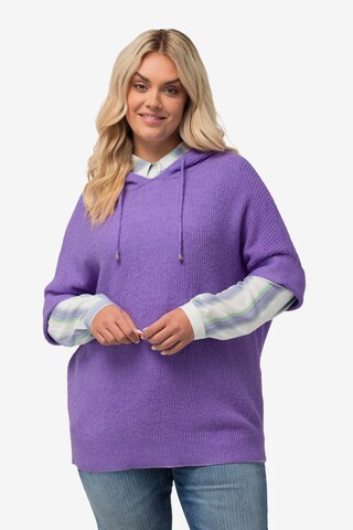 Ulla Popken Pullover in Lila: predná strana