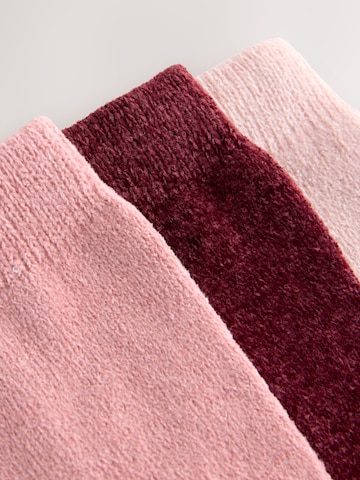 Next Socks in Purple