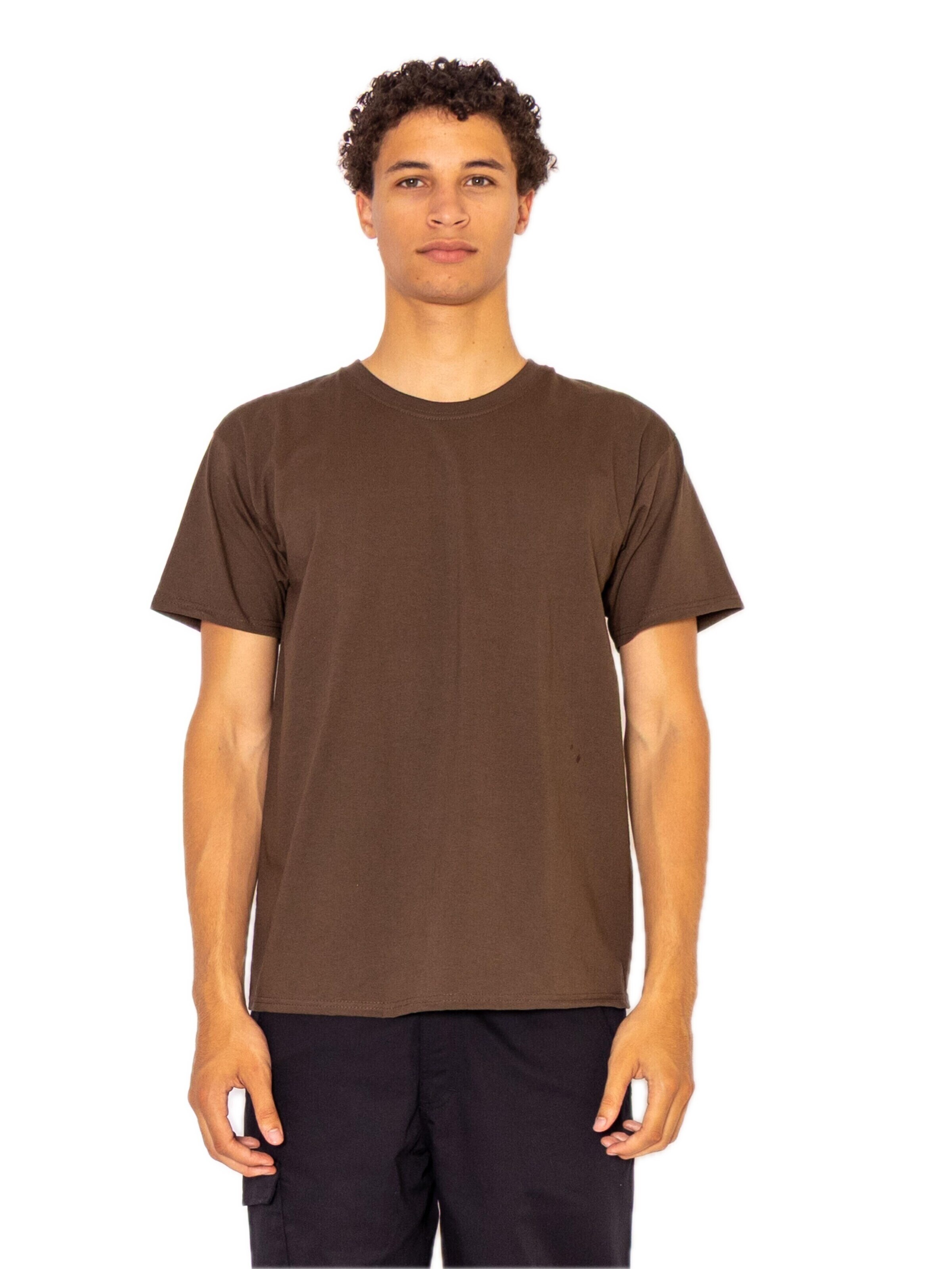 FRUIT OF THE LOOM Shirt 'T-shirt 3-pack' in Brown