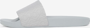 Mule Calvin Klein en gris : devant