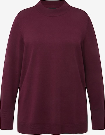 Pull-over Ulla Popken en violet : devant
