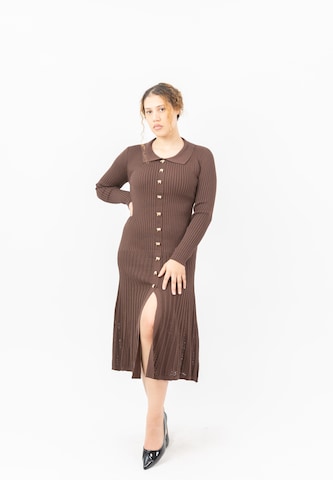 Elara Knit dress in Brown