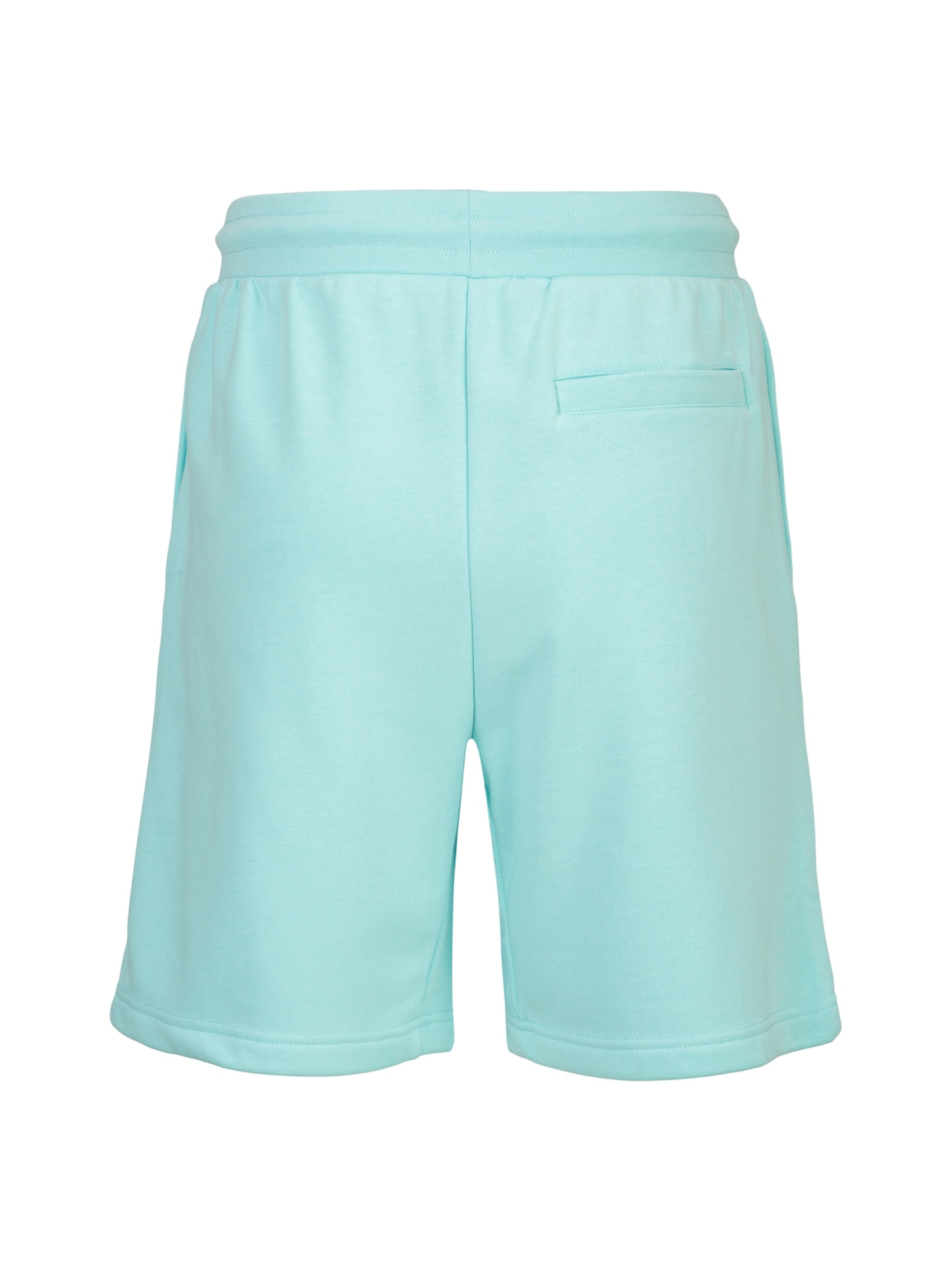 19V69 ITALIA Regular Broek 'Sergio' in Groen