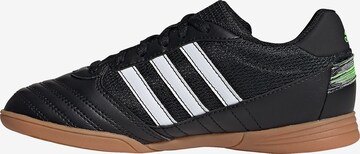 ADIDAS PERFORMANCE Sportschuh in Schwarz