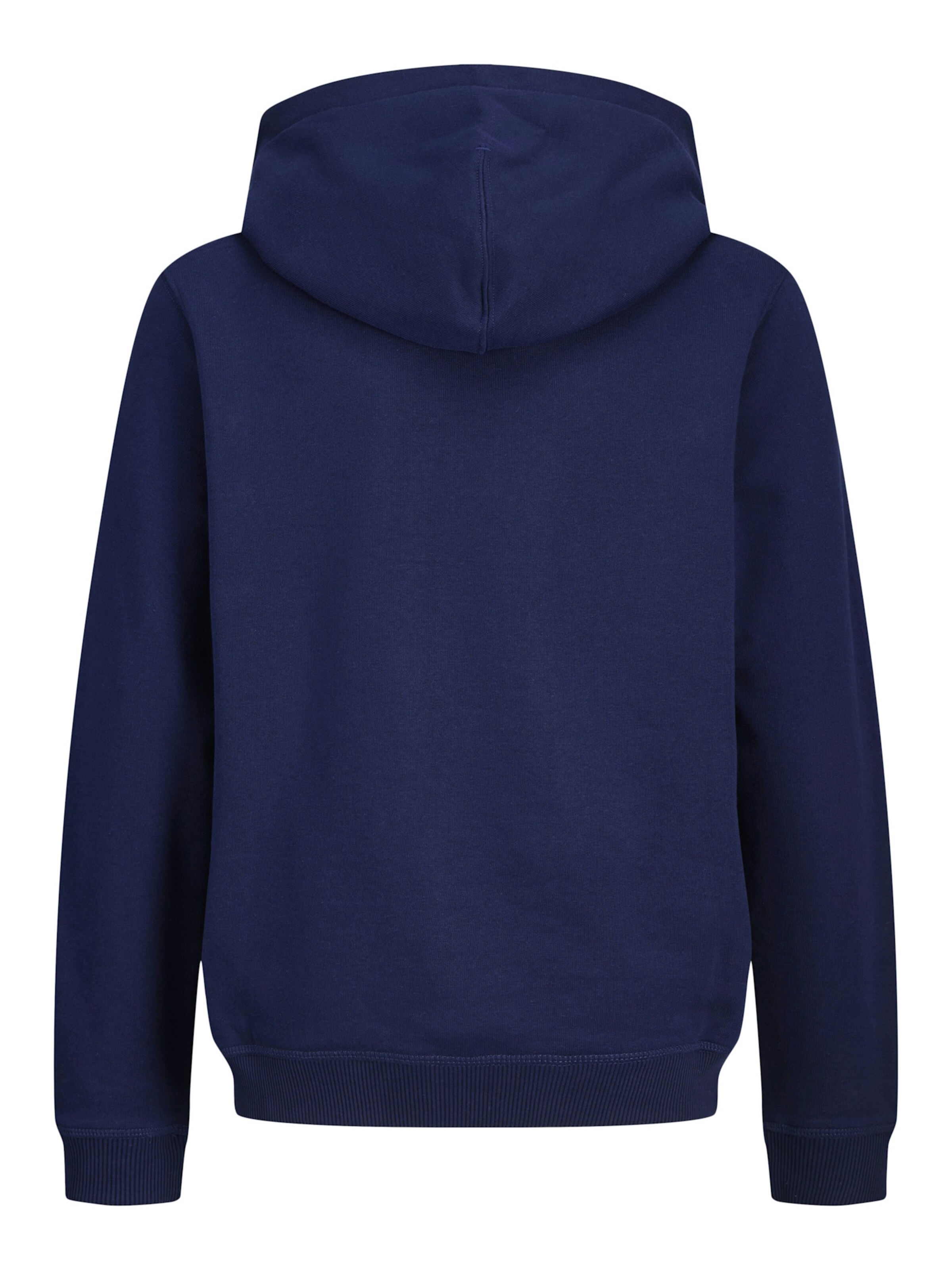 Jack & Jones Junior - Sudadera 'JORNorrebro' en azul