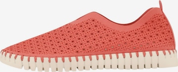 ILSE JACOBSEN Slipper 'TULIP4031' in Orange: Vorderseite