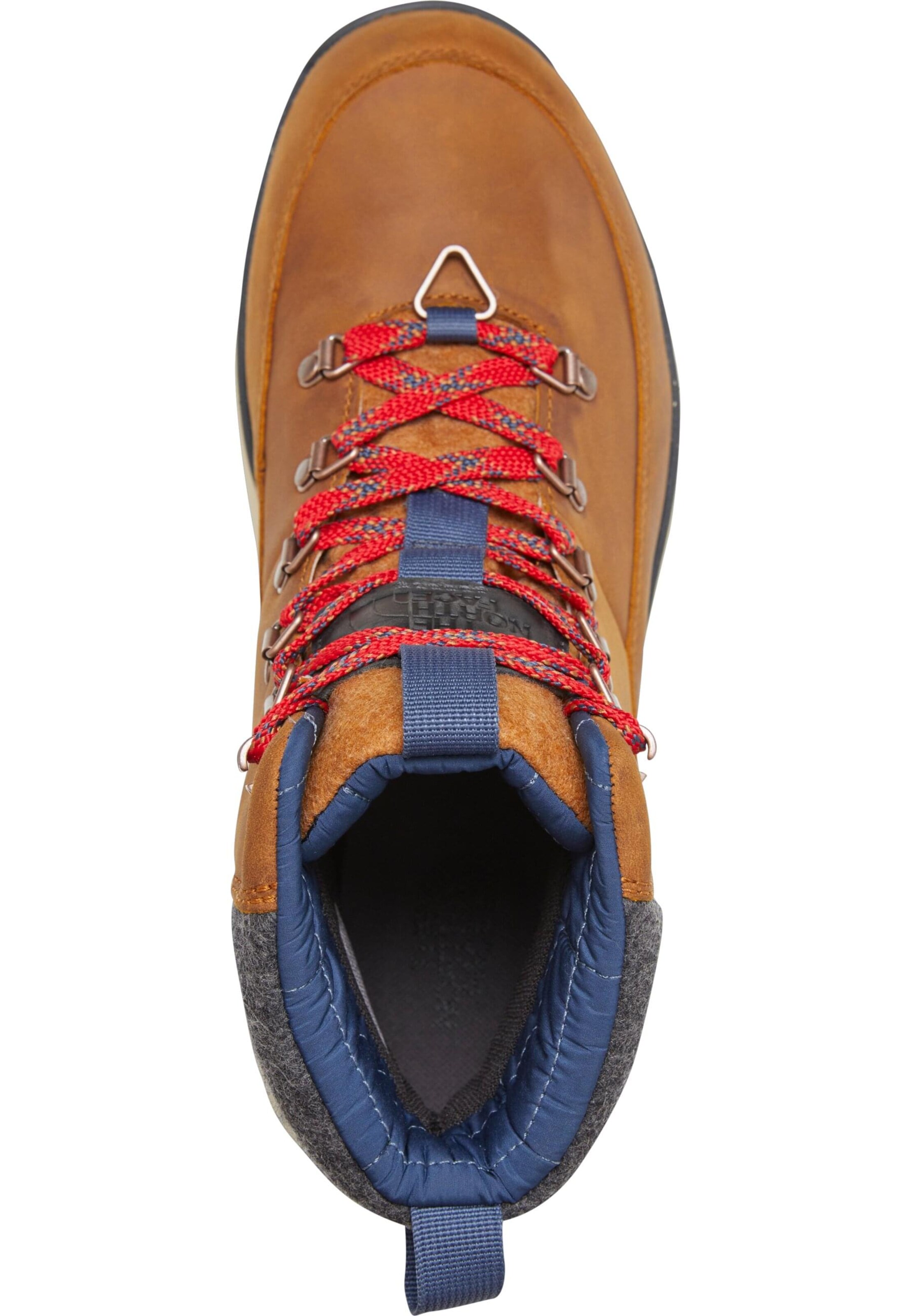 THE NORTH FACE Boots in Brown