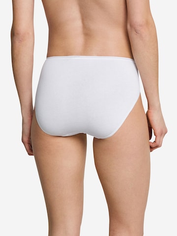 SCHIESSER Slip ' Cotton Essentials ' in Blau