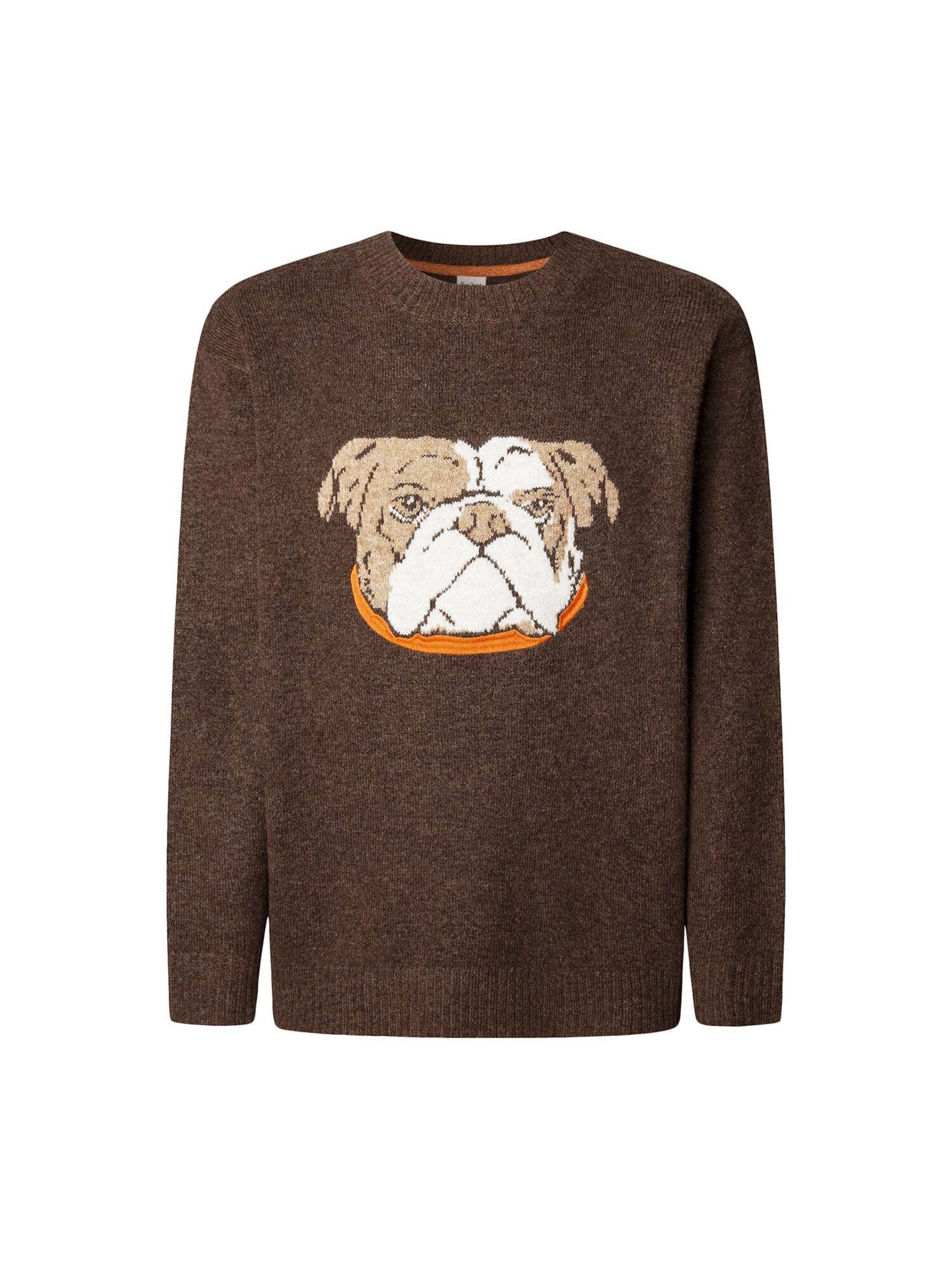 Pepe Jeans Sweater 'Phelan' in Brown: front