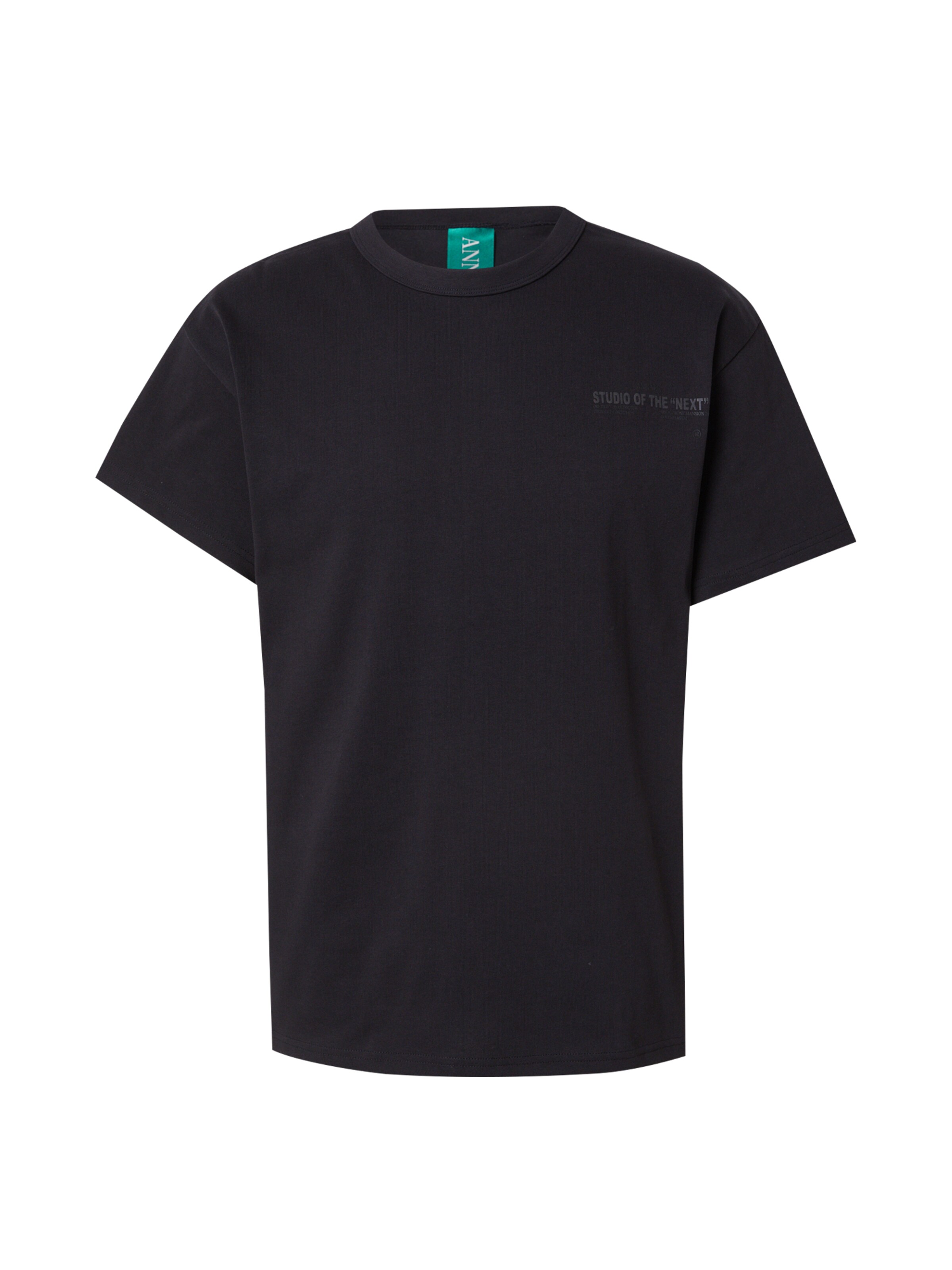 ANNARR Koszulka 'ANRRAVI' w kolorze czarny: przód