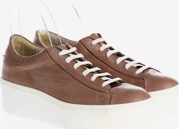 TSD12 Sneakers & Trainers in 38 in Brown: front
