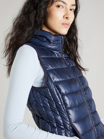 Gilet di QS in blu