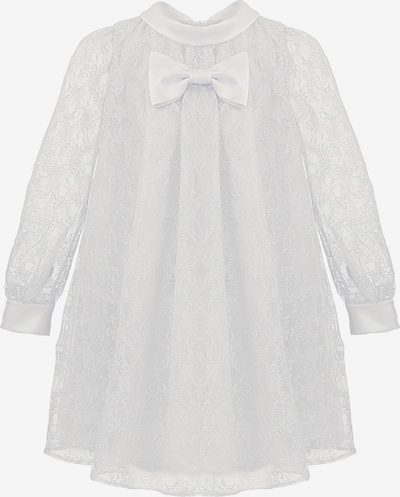 Gebriel Juno Kleid mit Stickereien in silber, Produktansicht