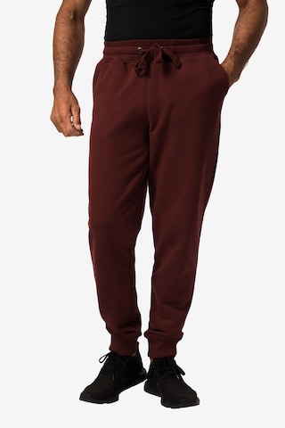 JAY-PI Tapered Pants in Brown: front