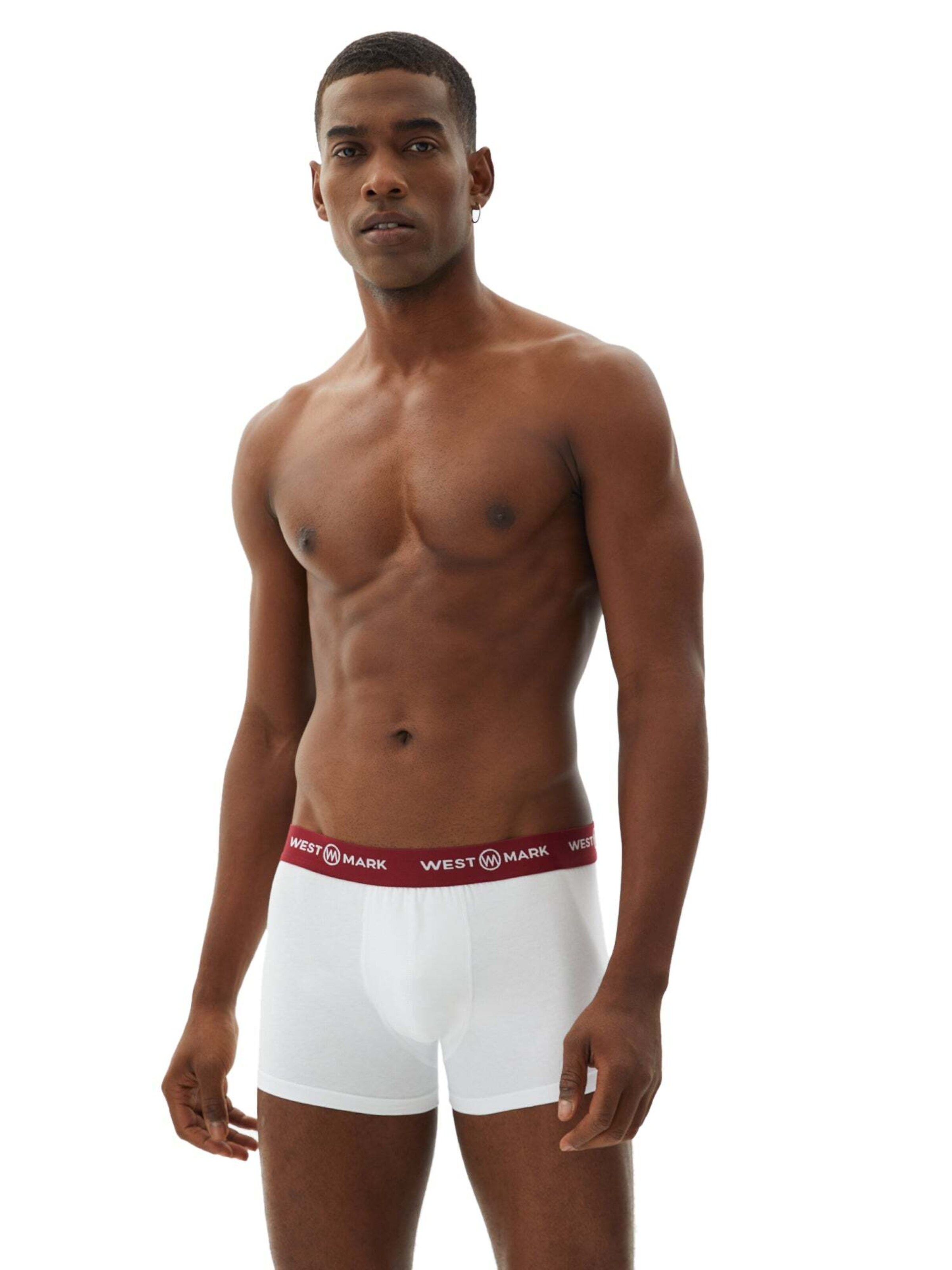WESTMARK LONDON Boxer shorts in Mixed colours: front