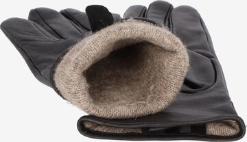 JOOP! Handschuhe in Schwarz