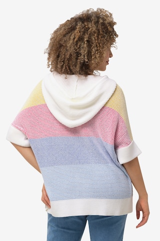 Ulla Popken Sweater in Mixed colors
