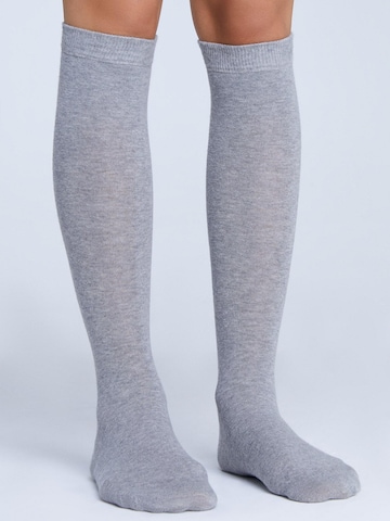 Albero Natur Knee High Socks in Grey