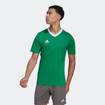 T-Shirt fonctionnel 'Entrada 22' ADIDAS SPORTSWEAR en vert : devant