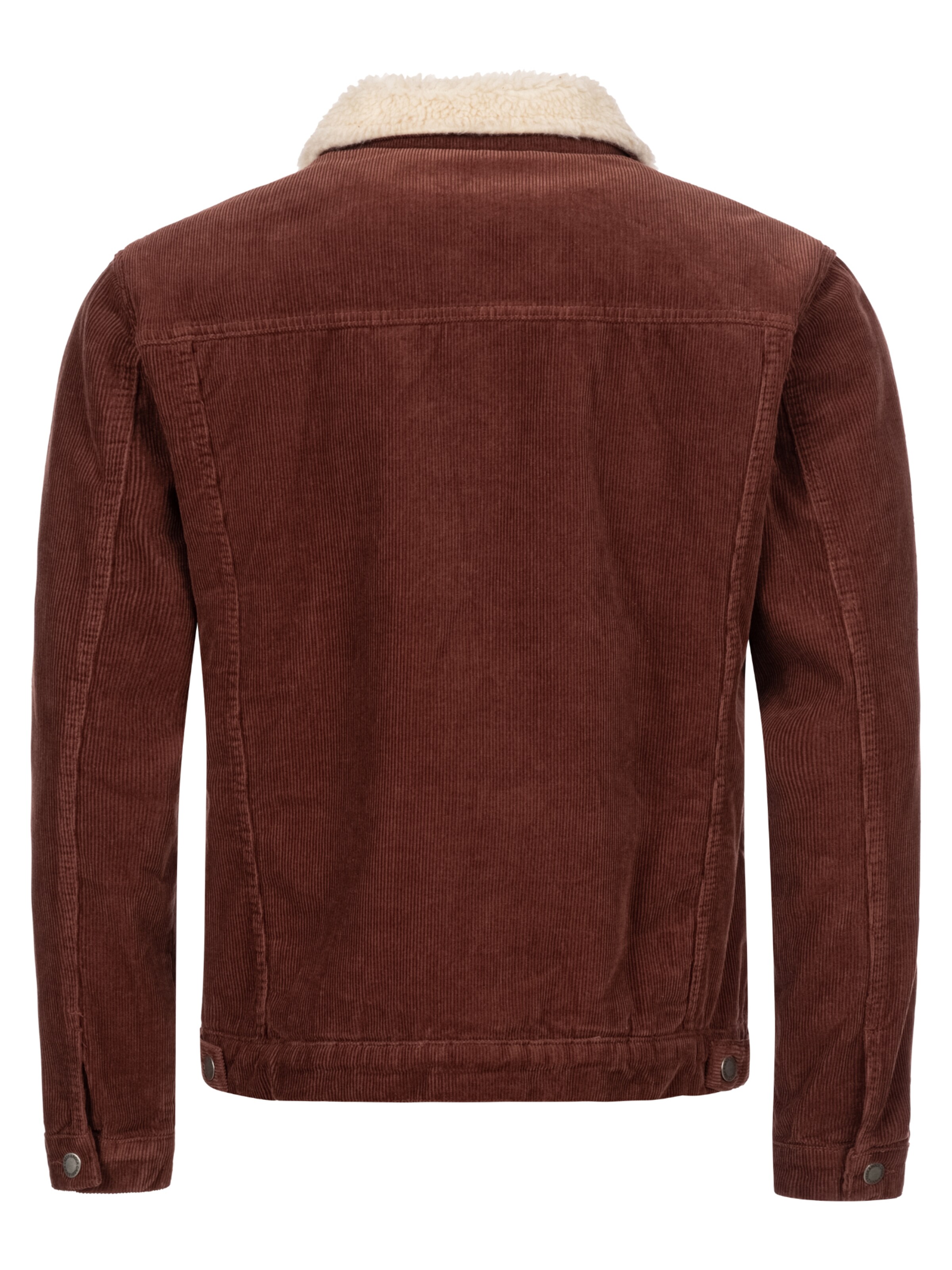 Rock Creek Winter Jacket in Brown