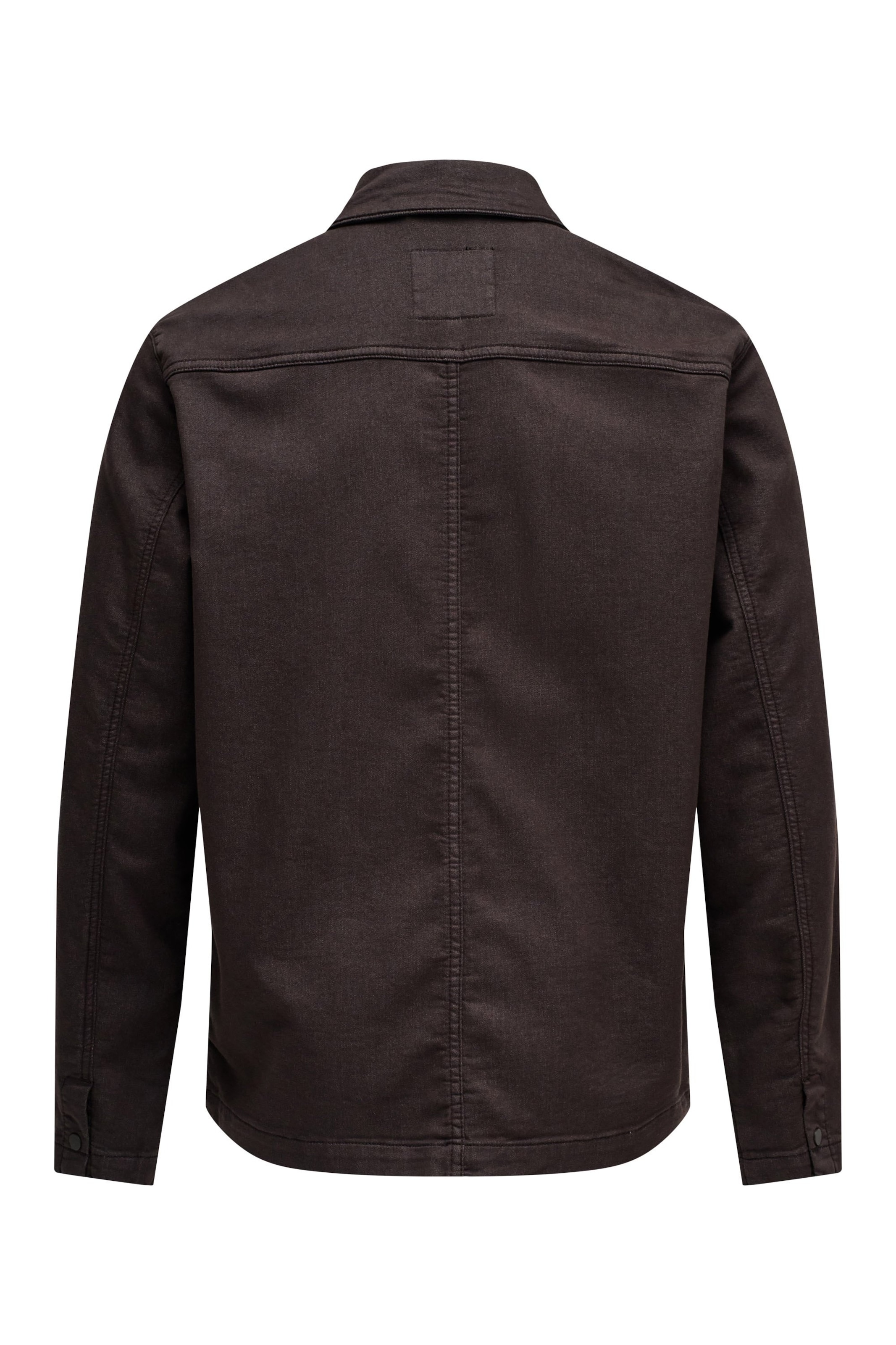 Salsa Jeans Regular fit Traditional Button Up Shirt in Brown