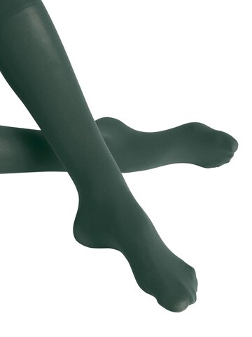 FALKE Overknee Strümpfe 'Pure Matt'‌‌‌‌‌‌‌‌‌‌ in Grün