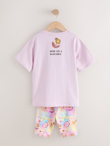 Next Sada – fialová