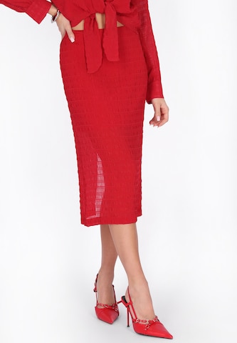 faina Rok in Rood: voorkant