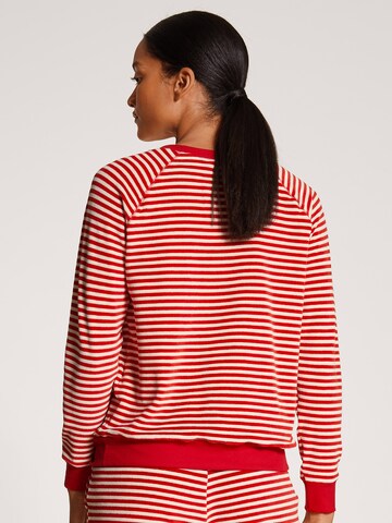 CALIDA Sweatshirt in Red