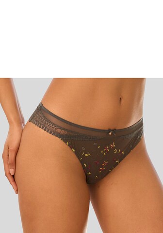 LASCANA Panty in Grey: front