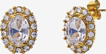 Lucardi Earrings in Gold: front