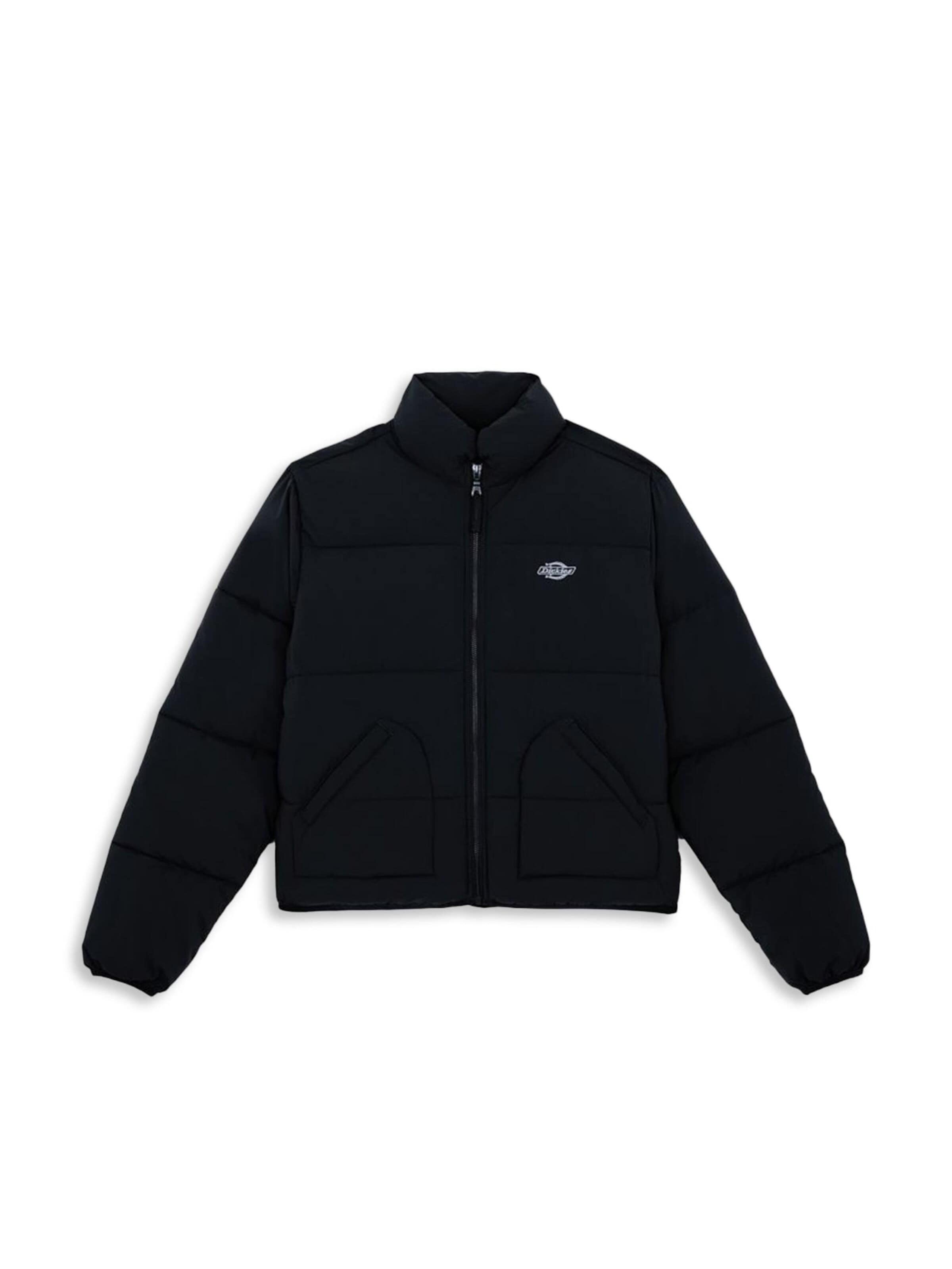 DICKIES Winterjacke 'SAMMERDALE'‌‌‌‌‌‌‌ in Schwarz: Vorderseite