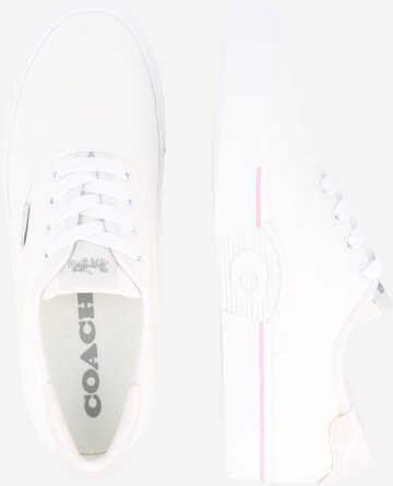 COACH Sneakers low i hvit