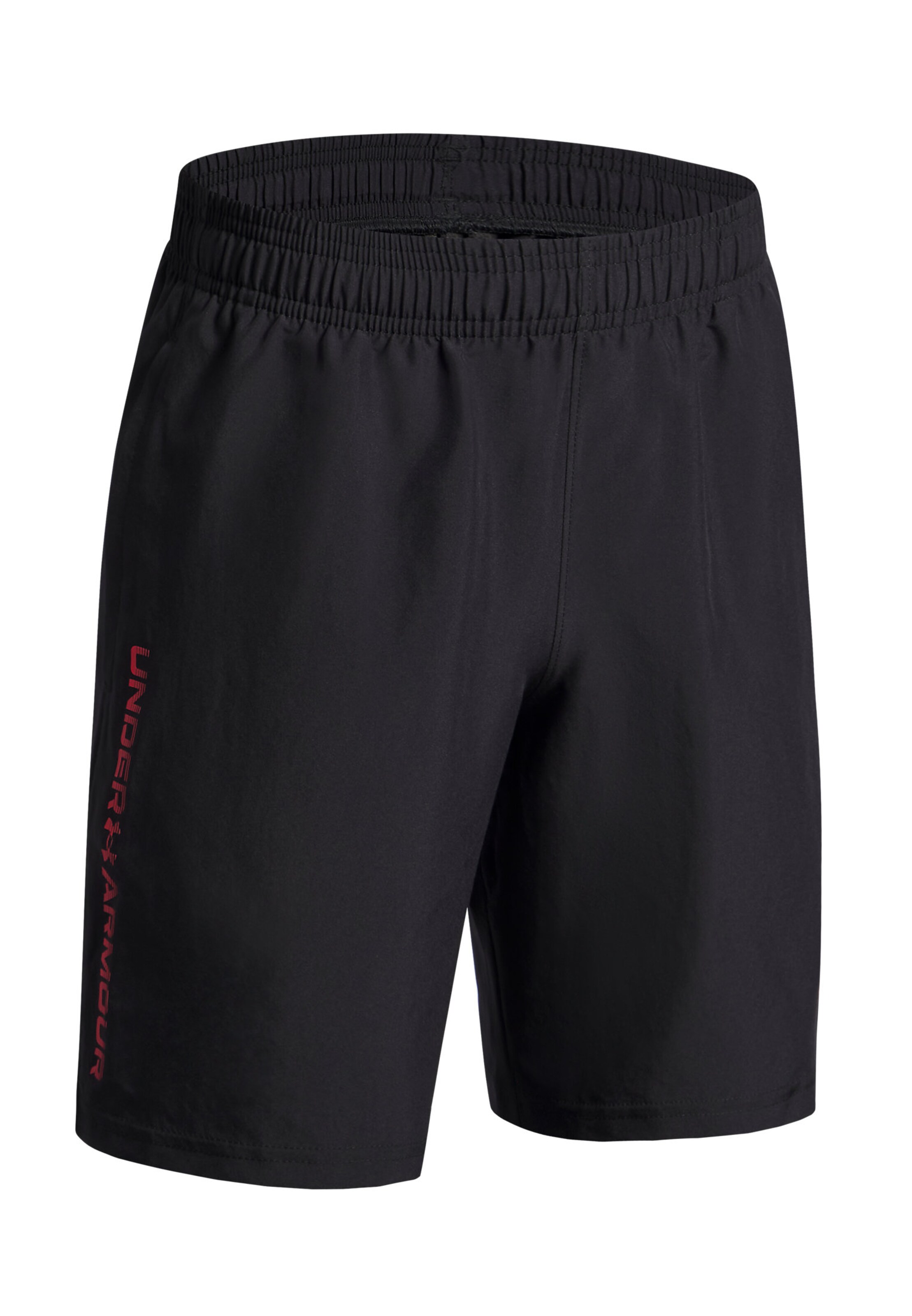 UNDER ARMOUR Regular Workout Pants in Black