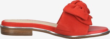 PETER KAISER Pantolette in Rot