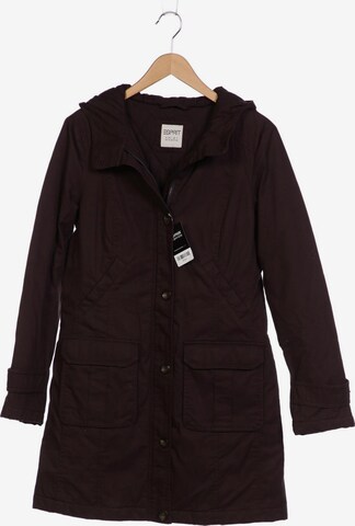 ESPRIT Jacket & Coat in L in Brown: front