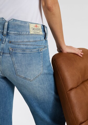 Herrlicher Regular Jeans in Blau