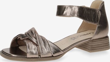 CAPRICE Sandals in Bronze: front