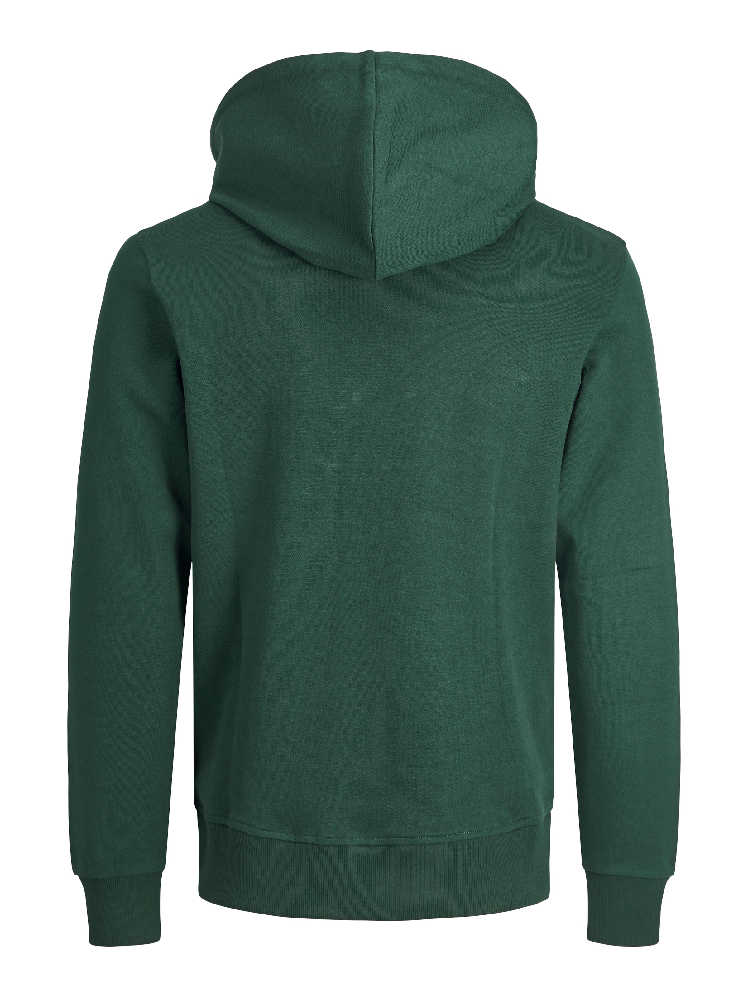 JACK & JONES Sweatshirt in Groen