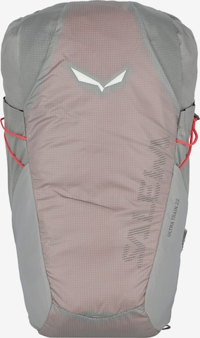 SALEWA Sports Backpack 'Ultra Train' in Grey: front